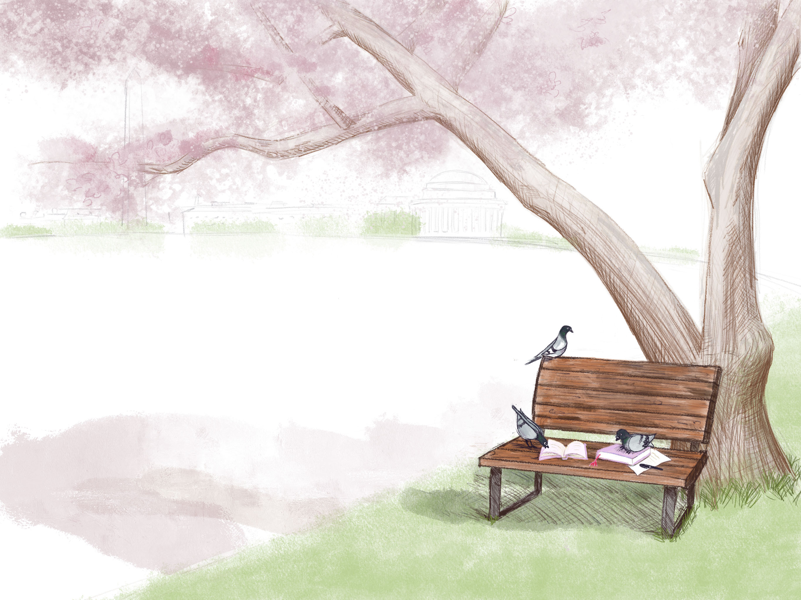 hand-drawn, simplified, brightly colored illustration of a bench with books and pigeons under a cherry blossom tree in bloom with the DC skyline in background